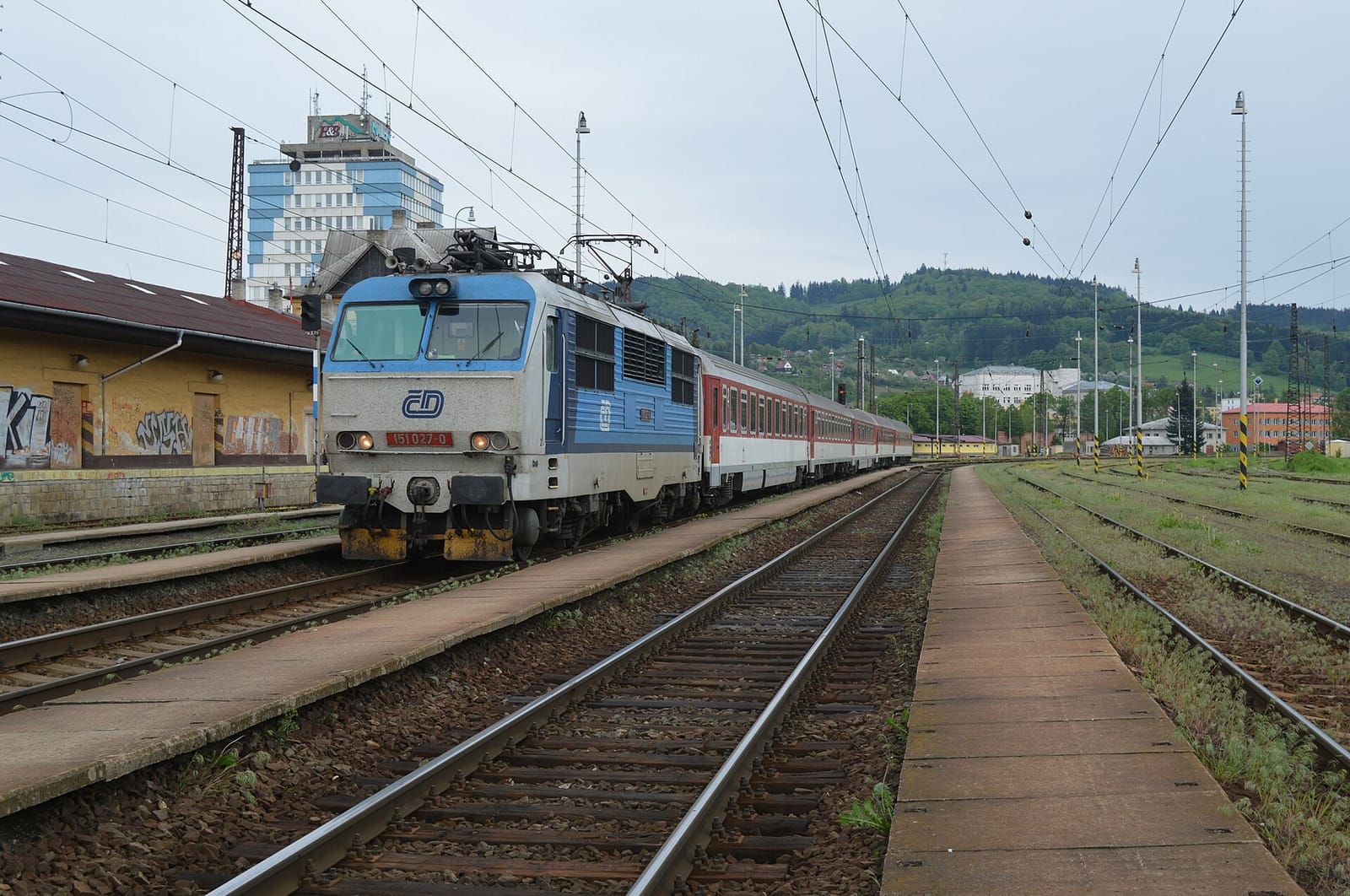 Delikana photo 2