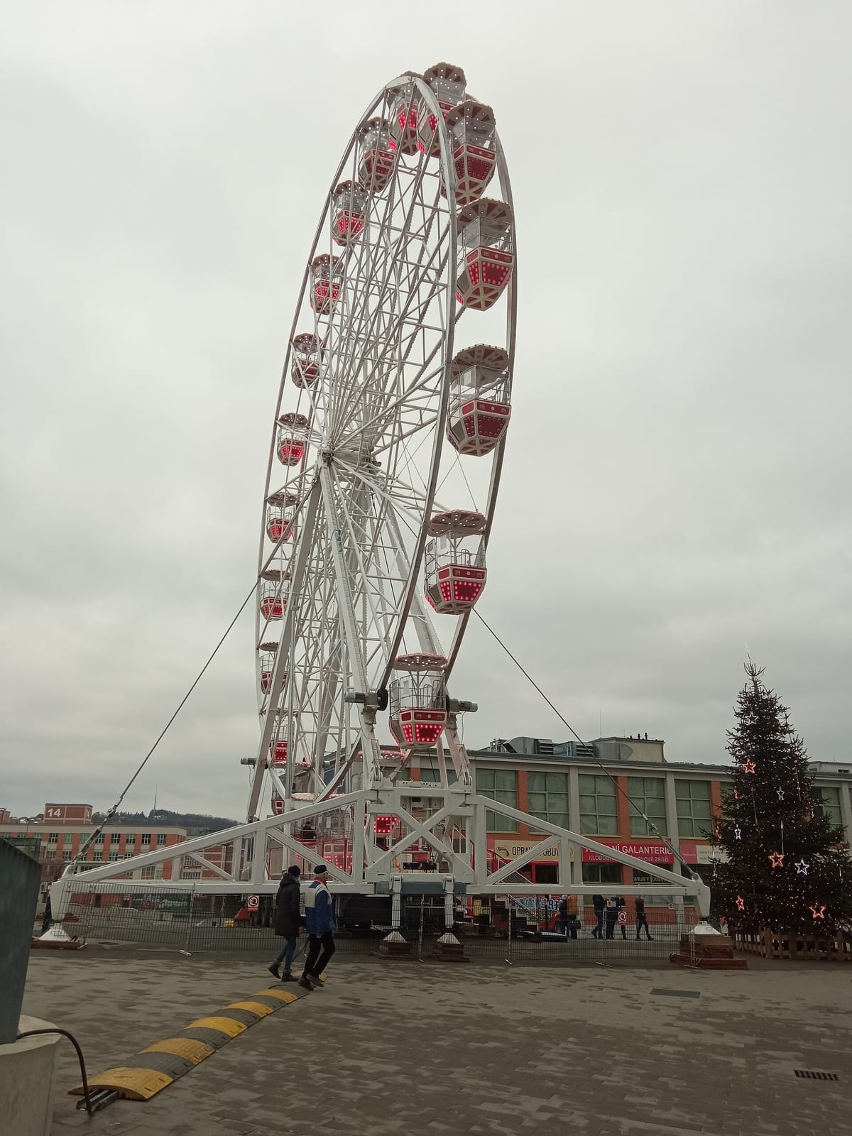 Delikana photo 2