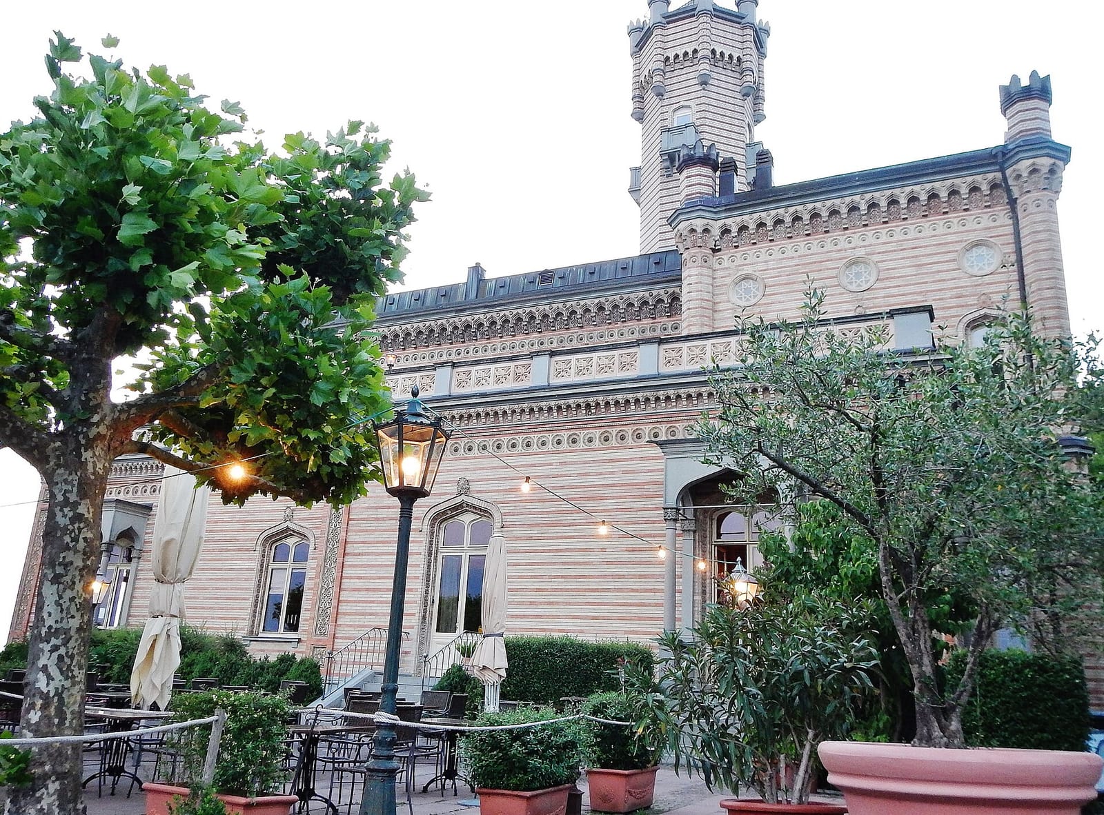 Schloss Montfort Café photo 2