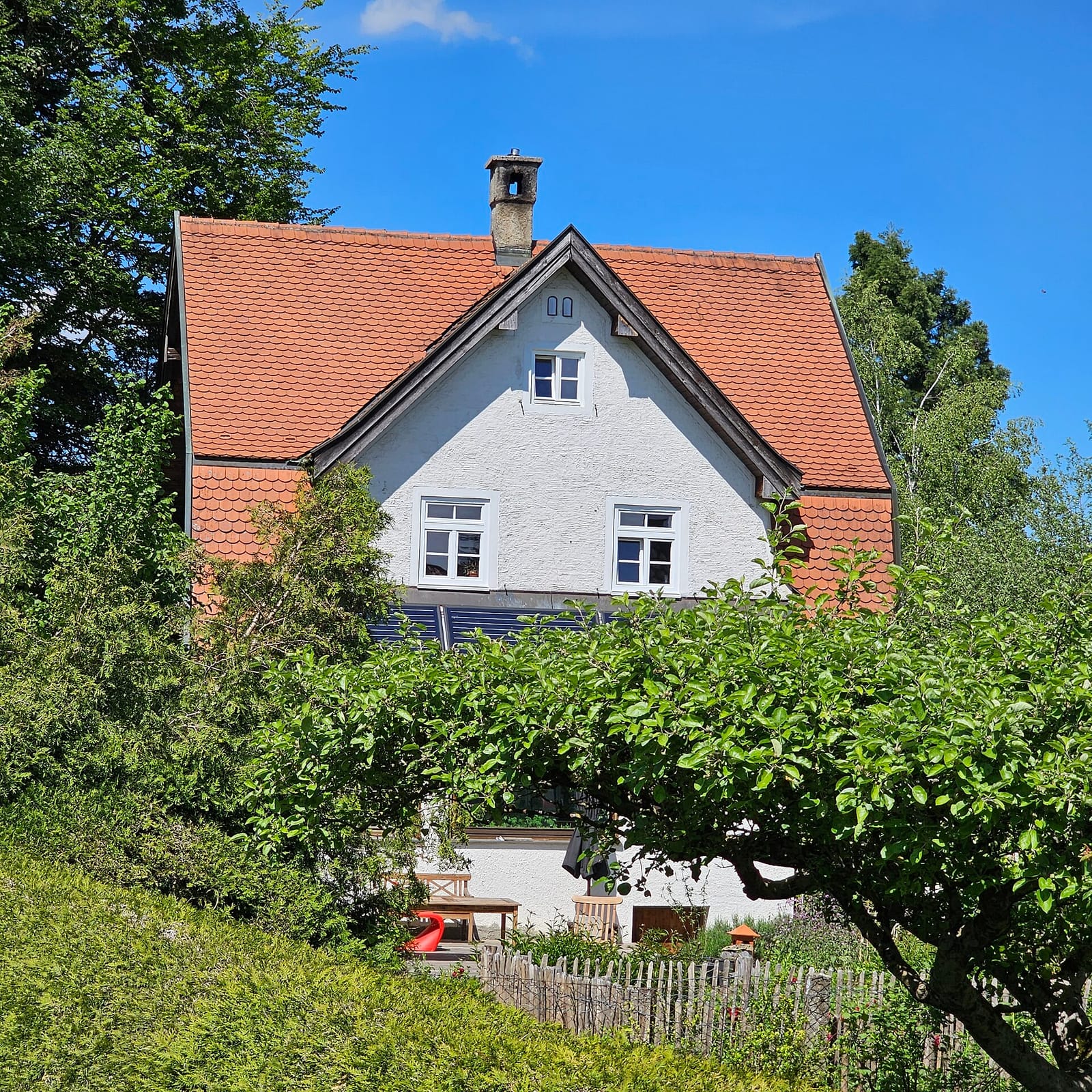 Bohne 37 photo 4