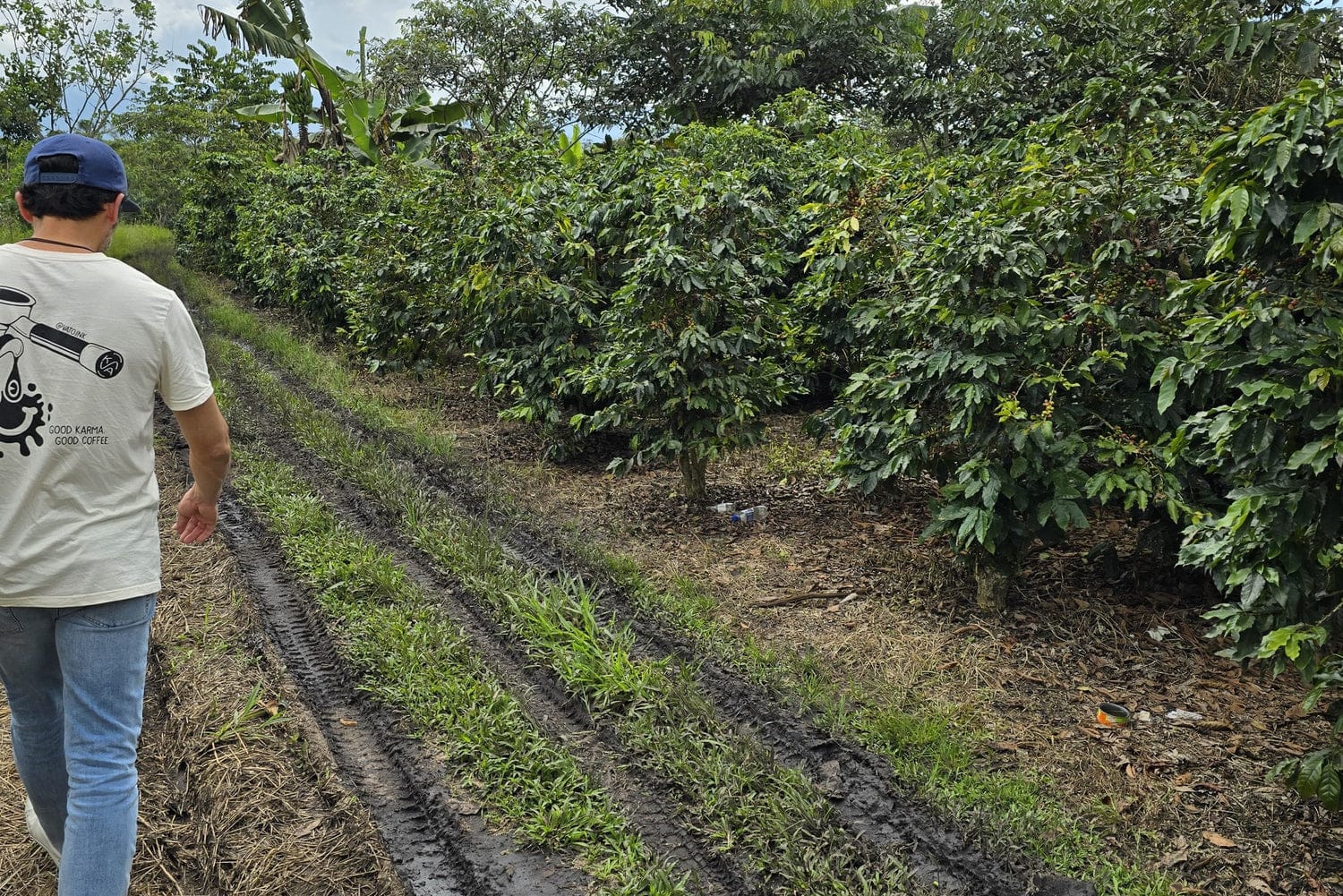 Kava Coffee Roasters photo 8