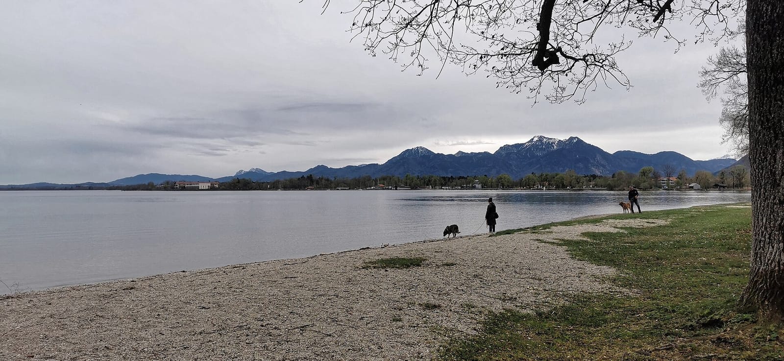 Chiemsee Kaufmann
