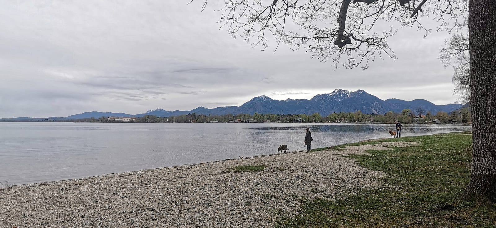 Chiemsee Kaufmann photo 2