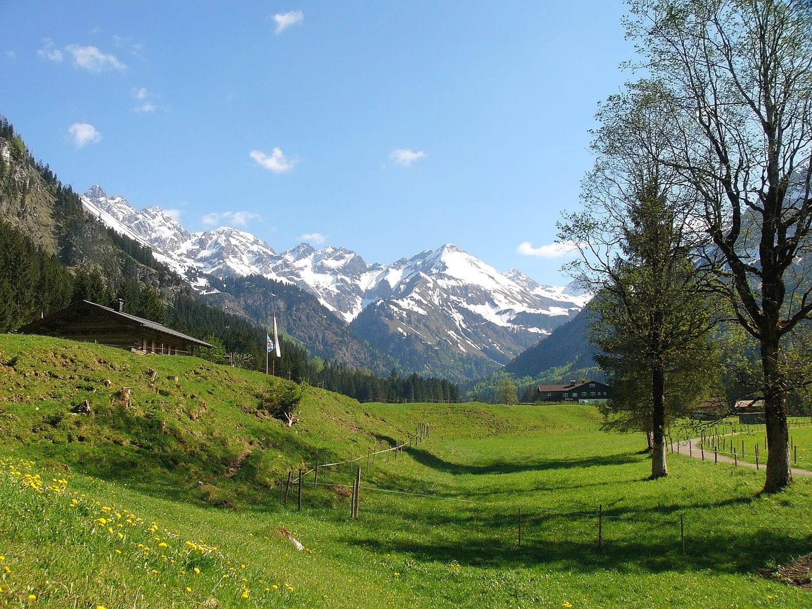 Willis Blockhütte
