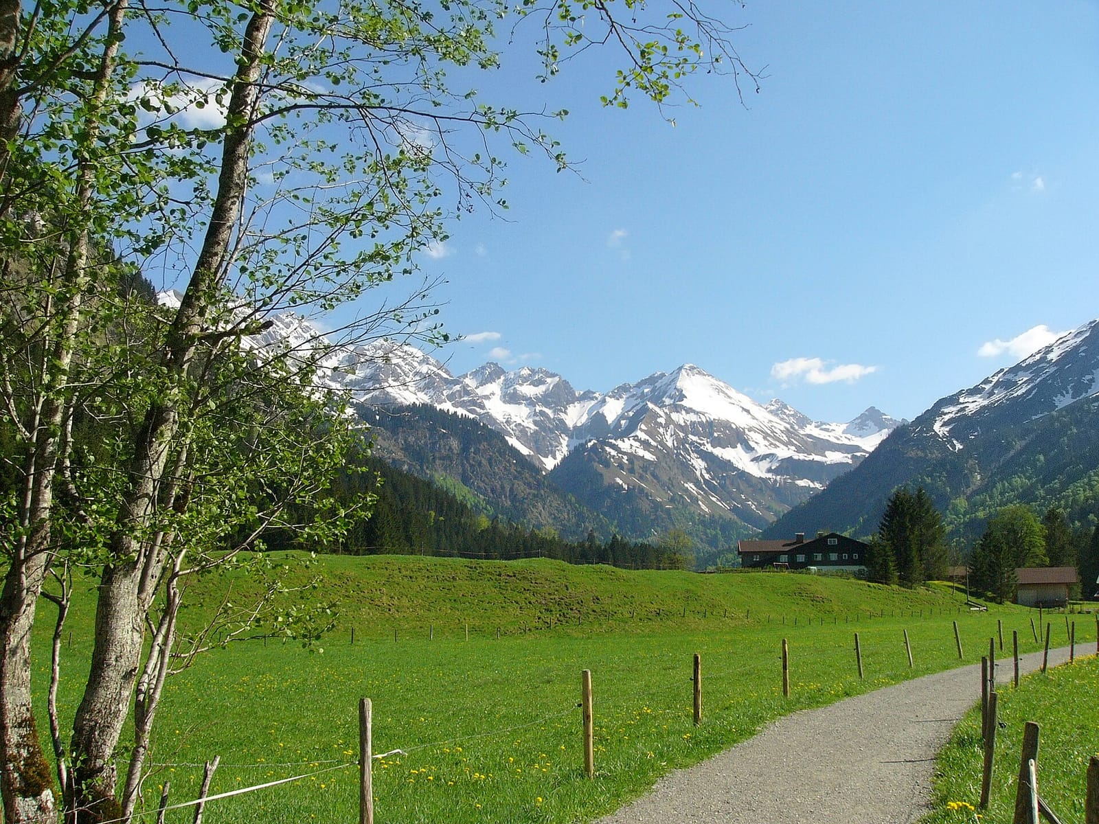 Willis Blockhütte photo 2