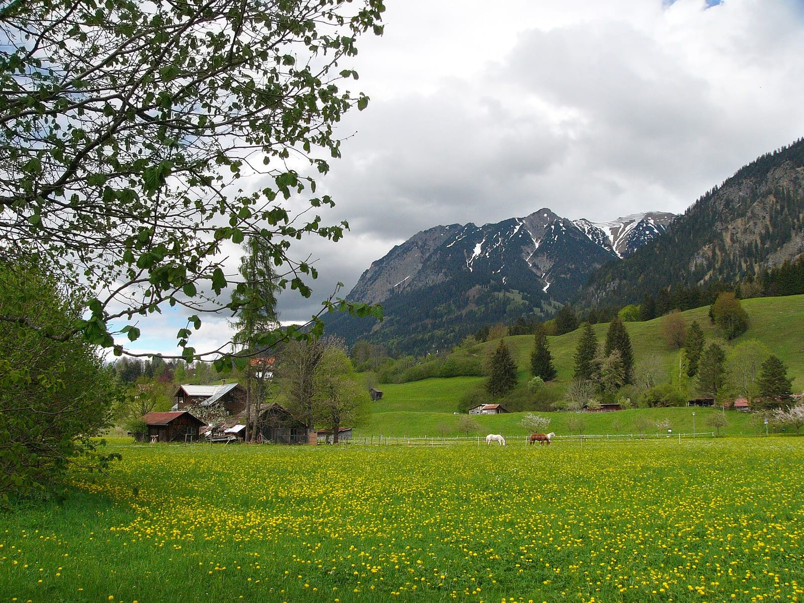 KäsHüs Hofkäserei & Café photo 2