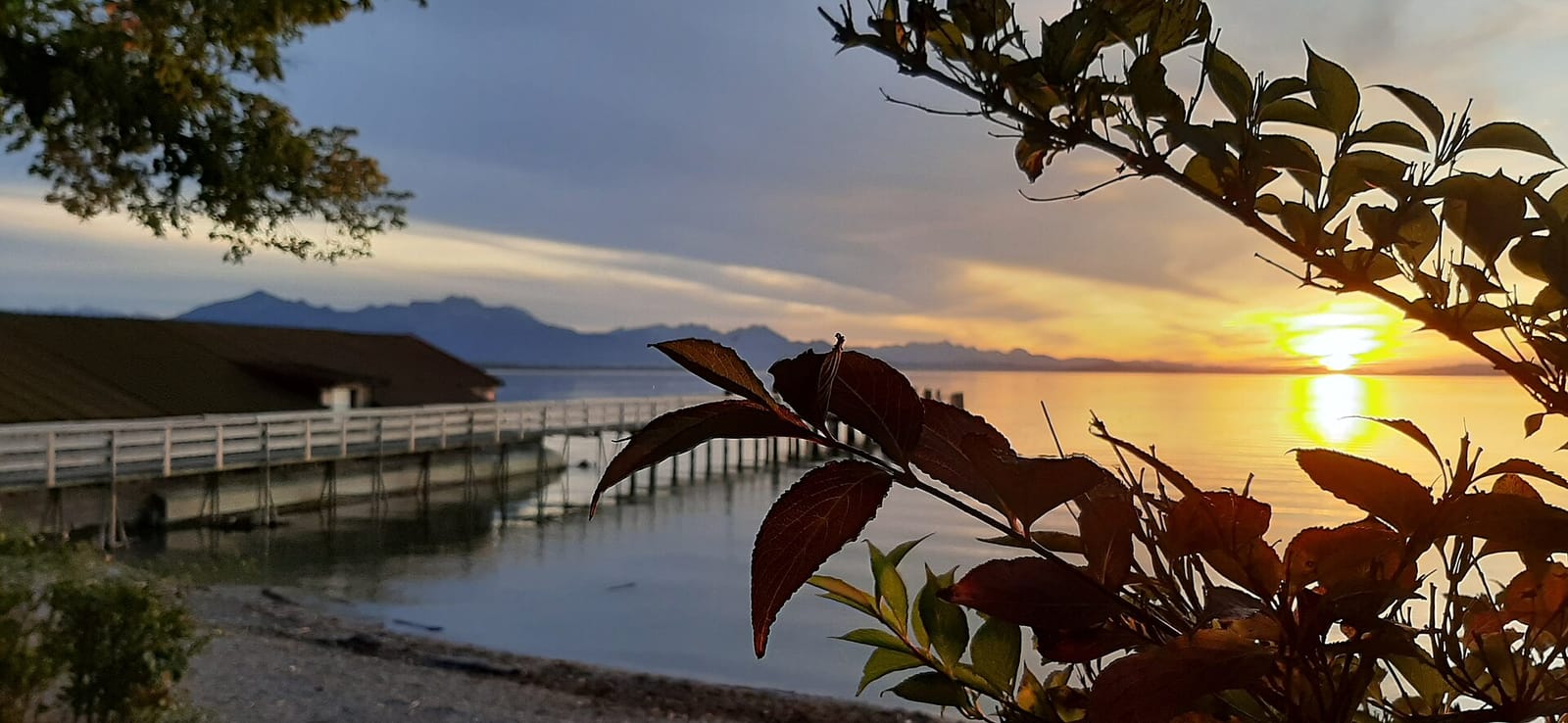 Haus am See photo 5