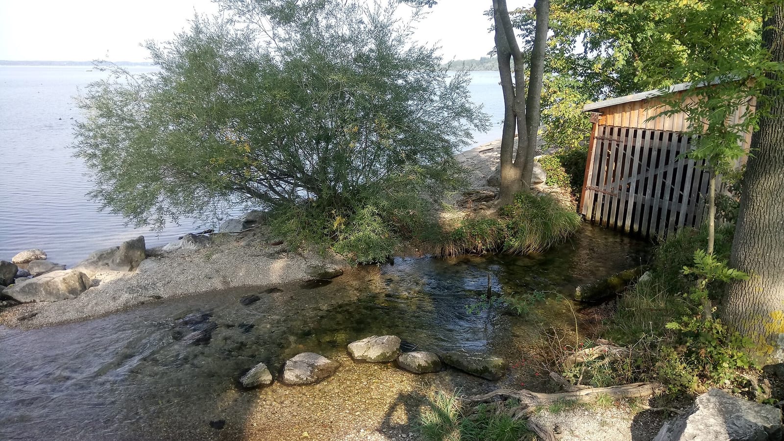 Haus am See photo 4