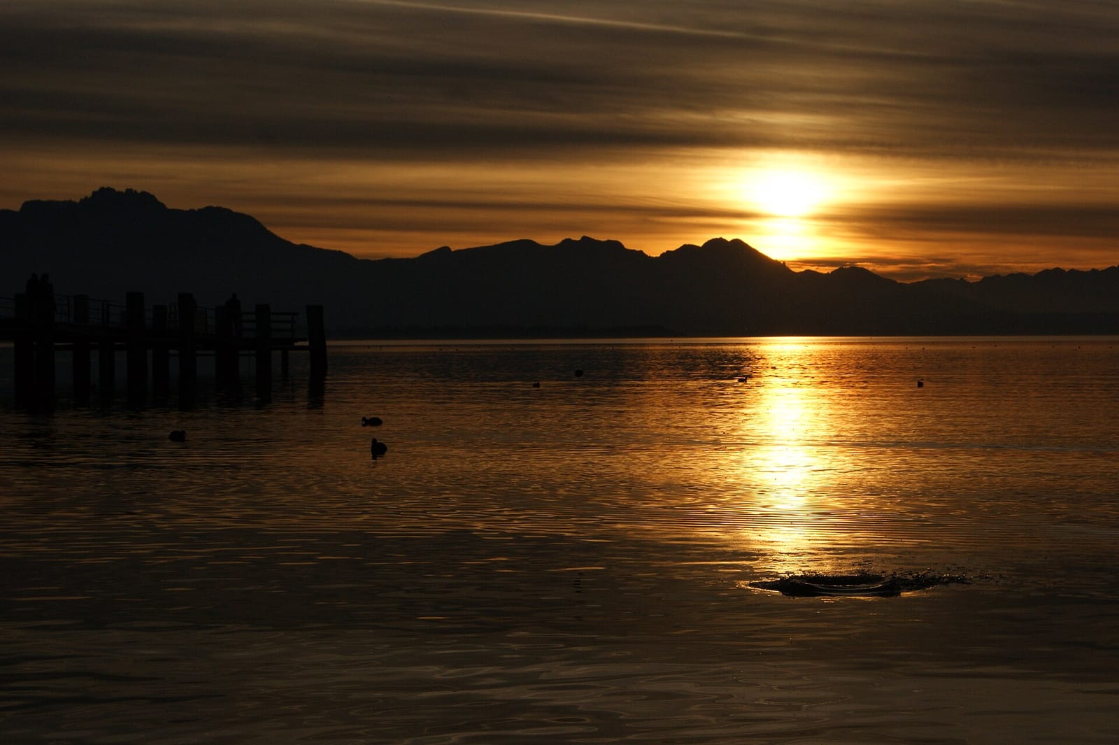 Haus am See photo 2