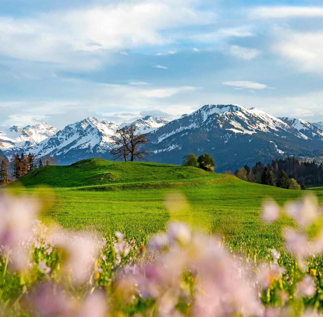 Hotel Alpenblick
