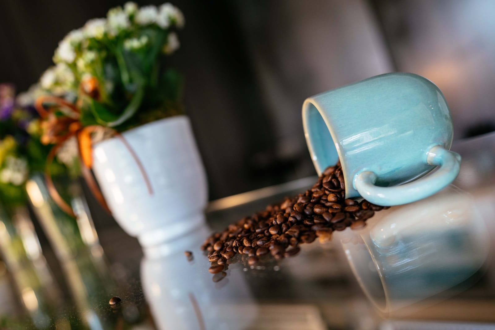 Café Historias photo 2