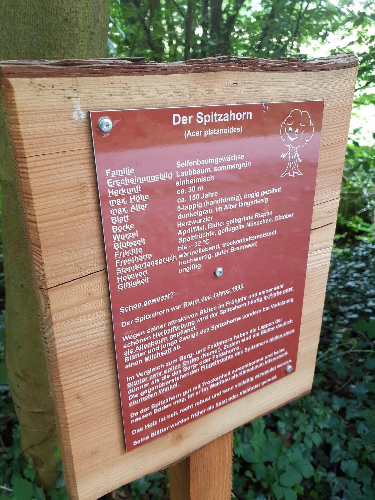 Bethaus der Bergleute photo 2