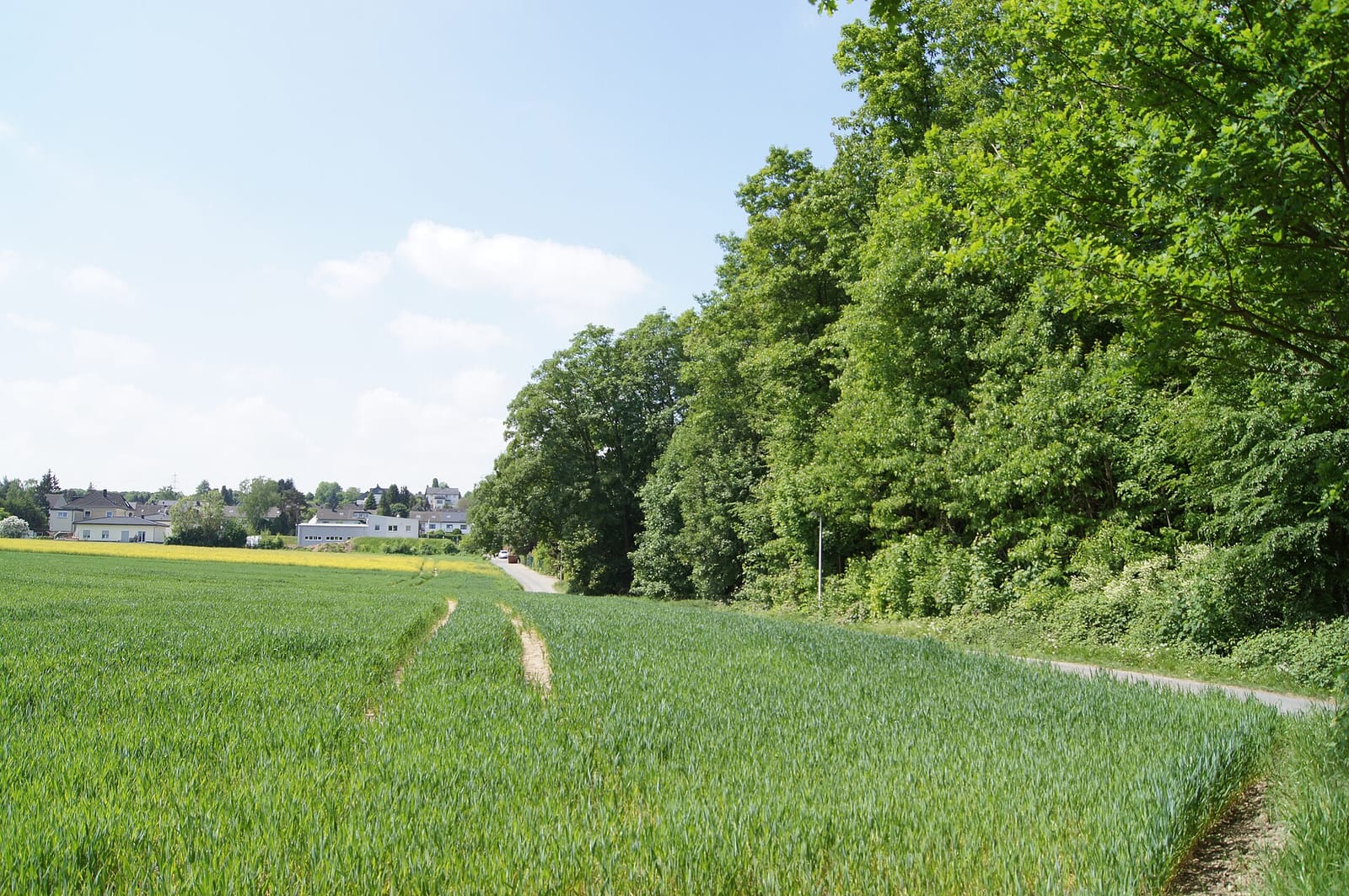 Vereinsheim SV Bommern photo 2
