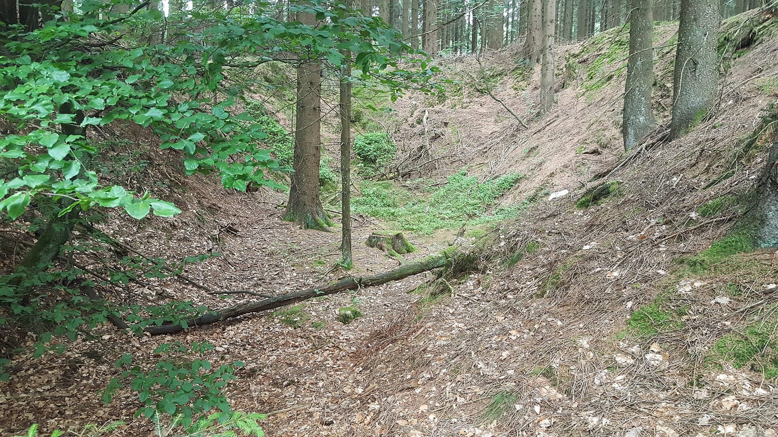 Kulturgut Schrabbenhof