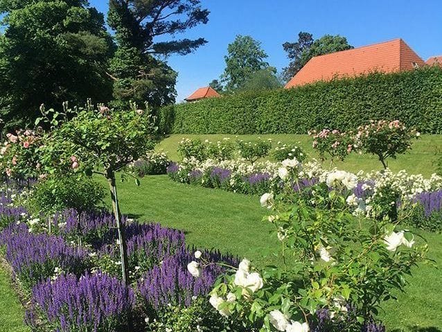 Sommercafé Kladow photo 4