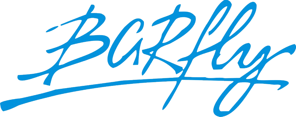 Café Barfly photo 2