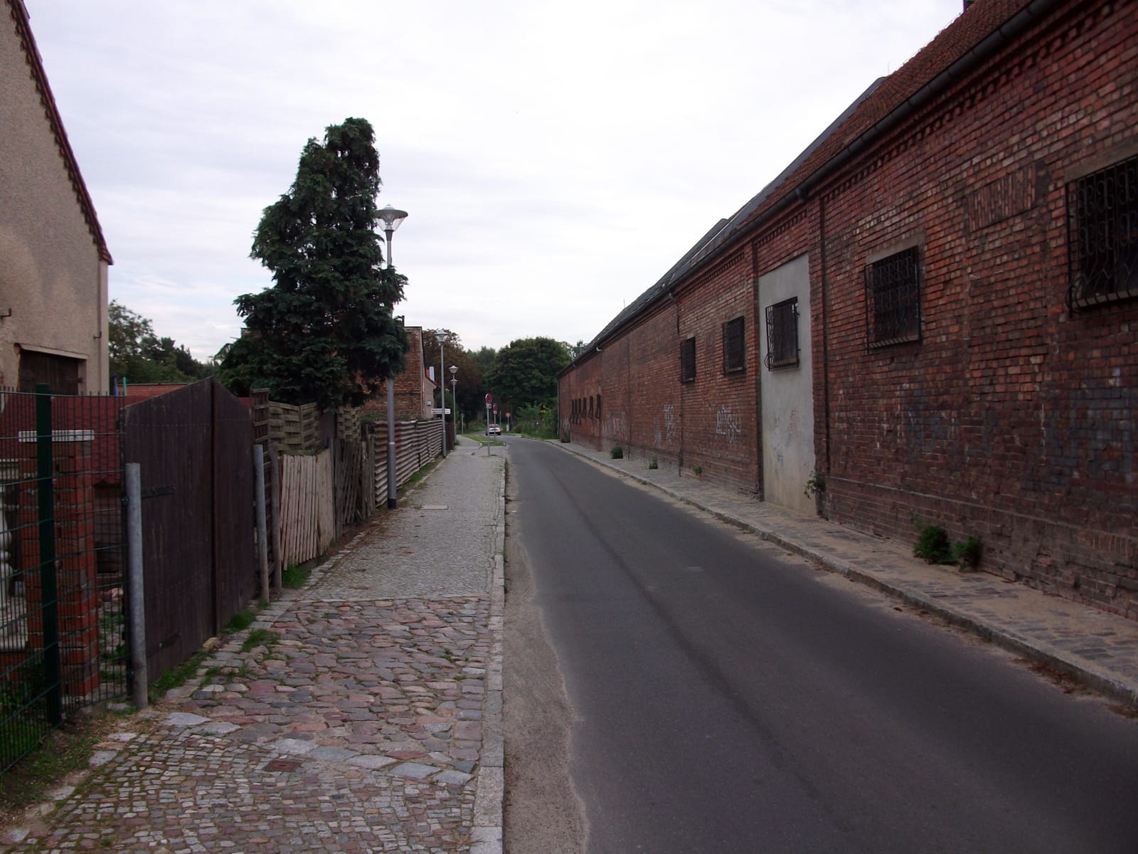 Steckenpferd photo 2
