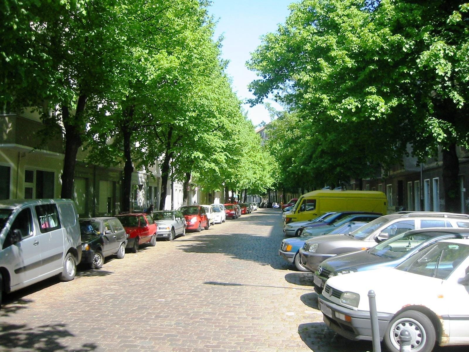 Herman Schulz photo 2