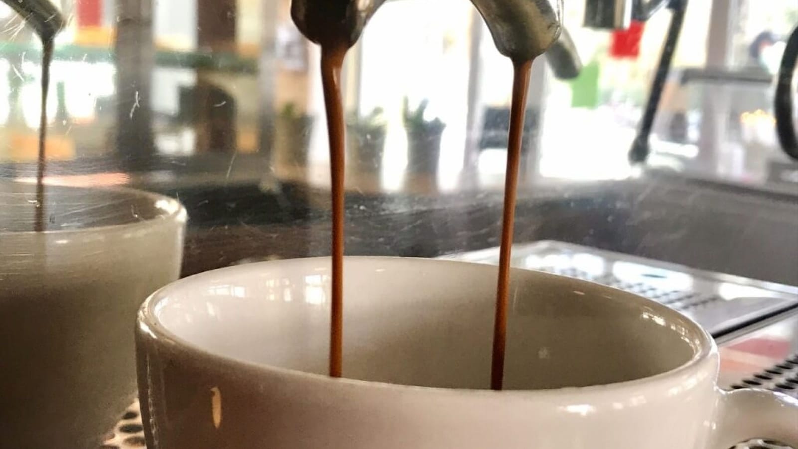 Café Blume photo 4