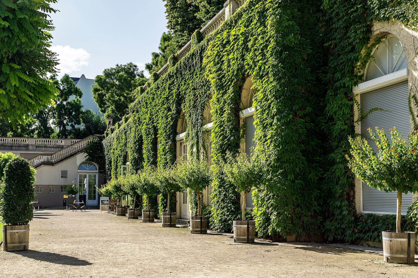 Orangerie Neukölln photo 2