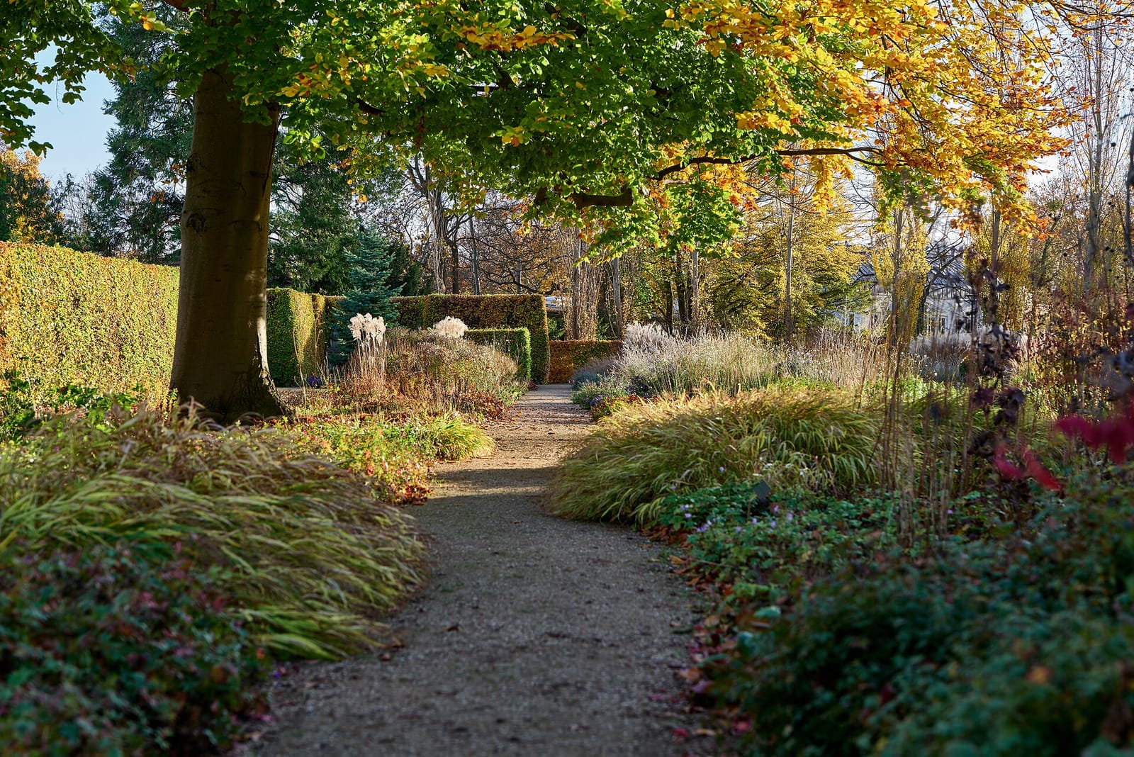 Das Café in der Gartenakademie photo 3
