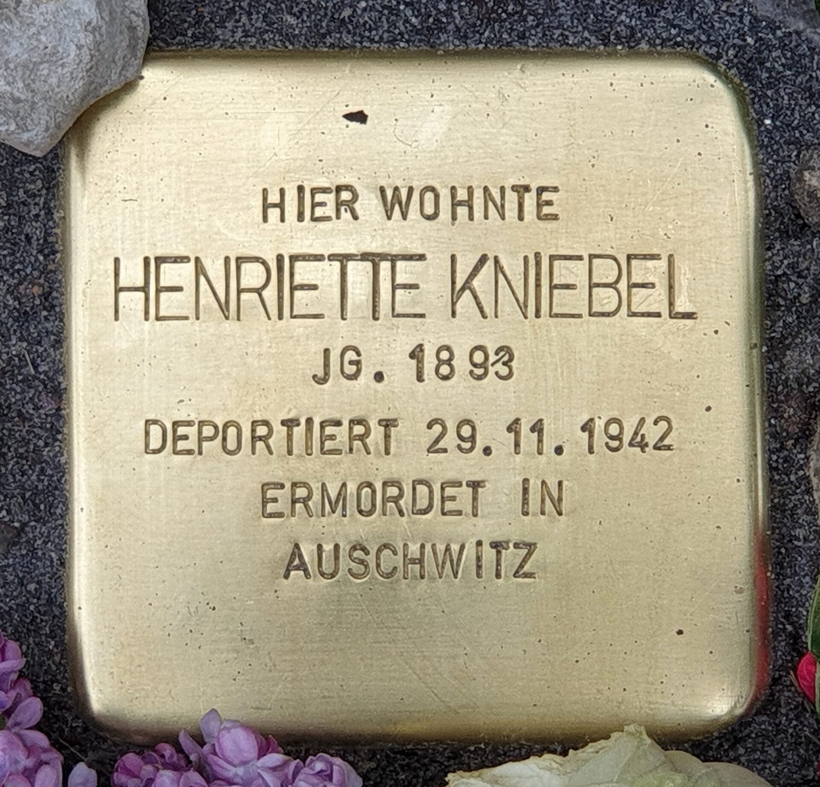 Frau Honig photo 5