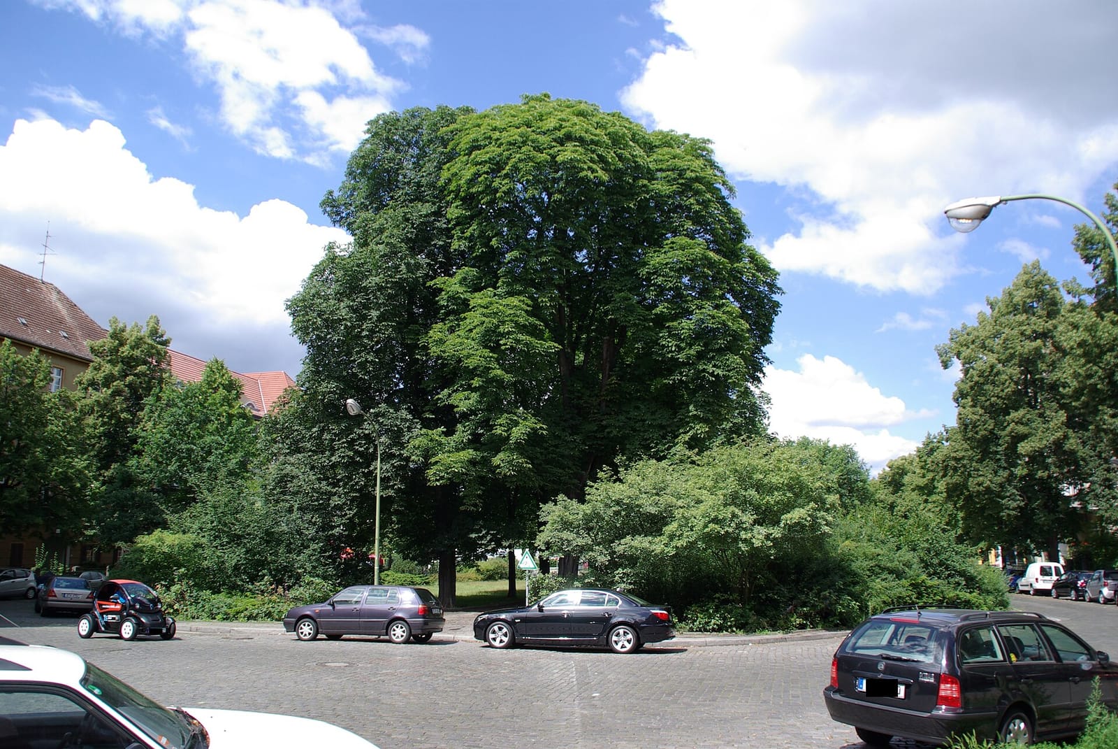 Erdals Obst und Gemüse photo 3
