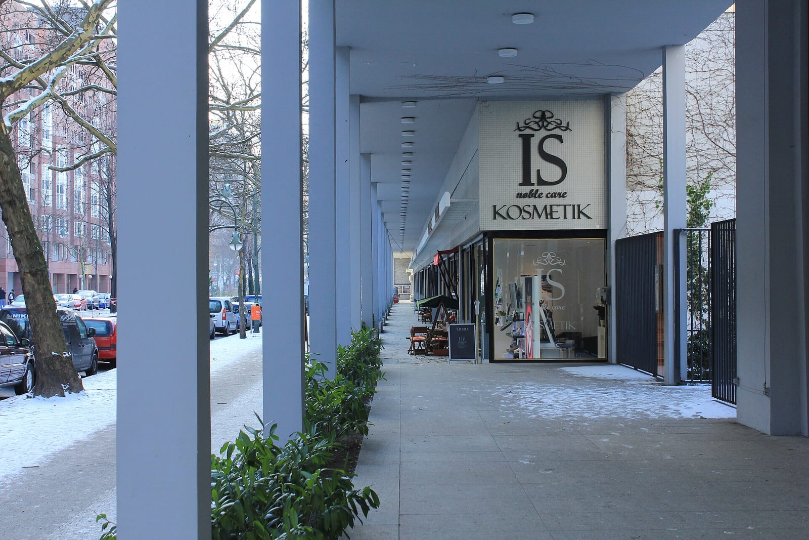 Cafe minouche photo 3