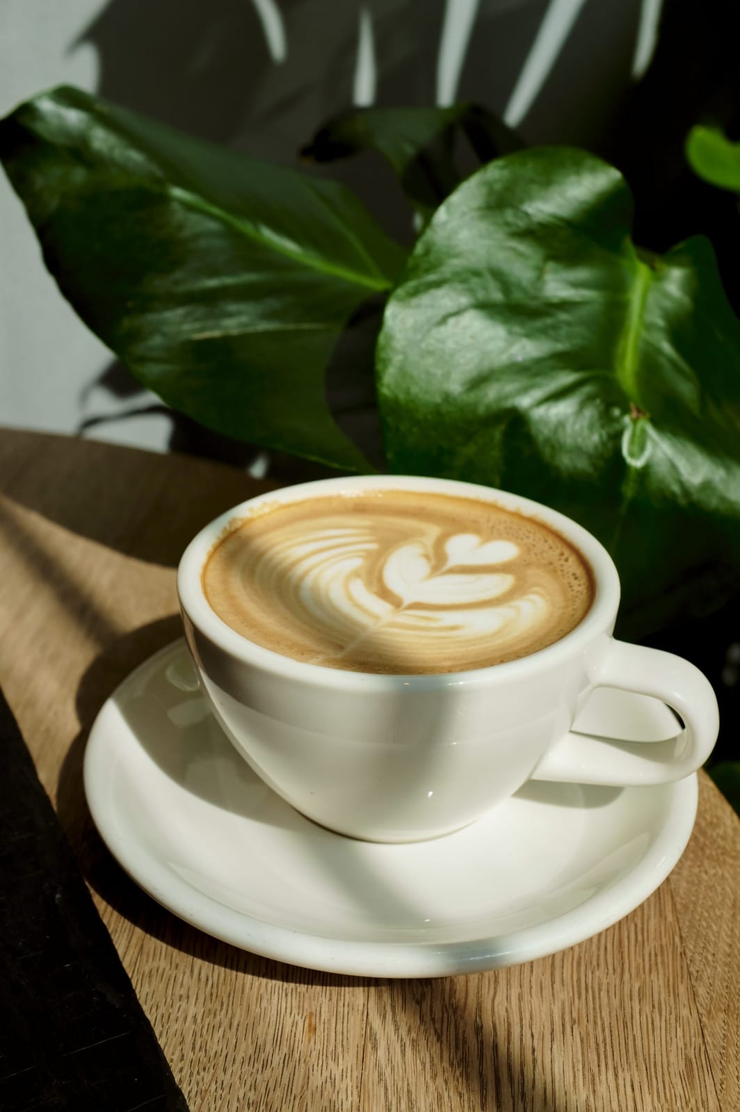 Windback-Coffee photo 5