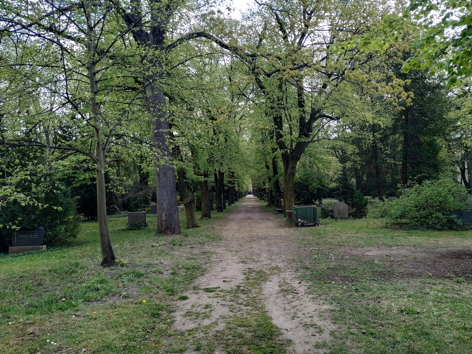 Kaffeeberg photo 3