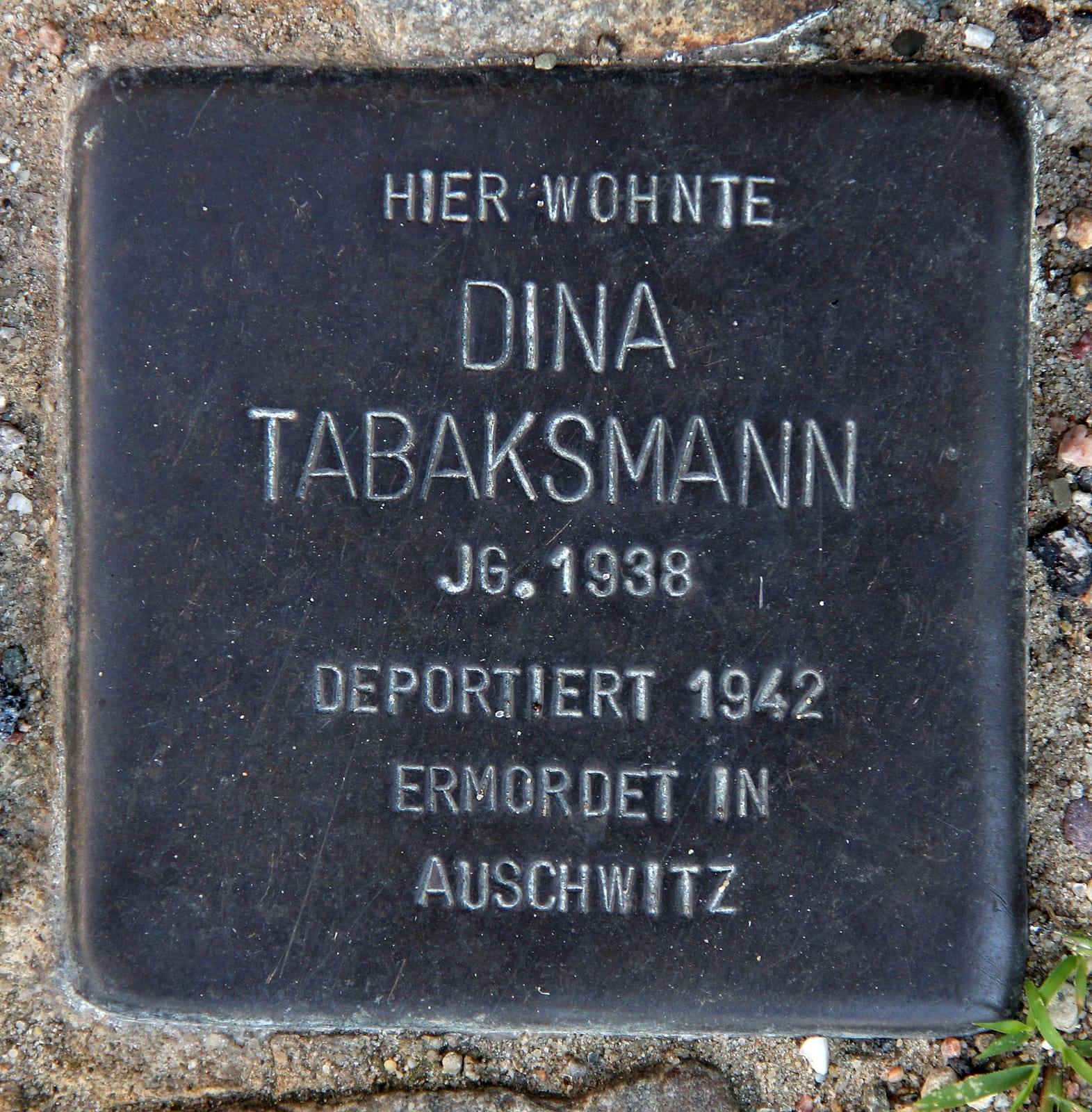 Belyzium Kakao Manufaktur photo 2