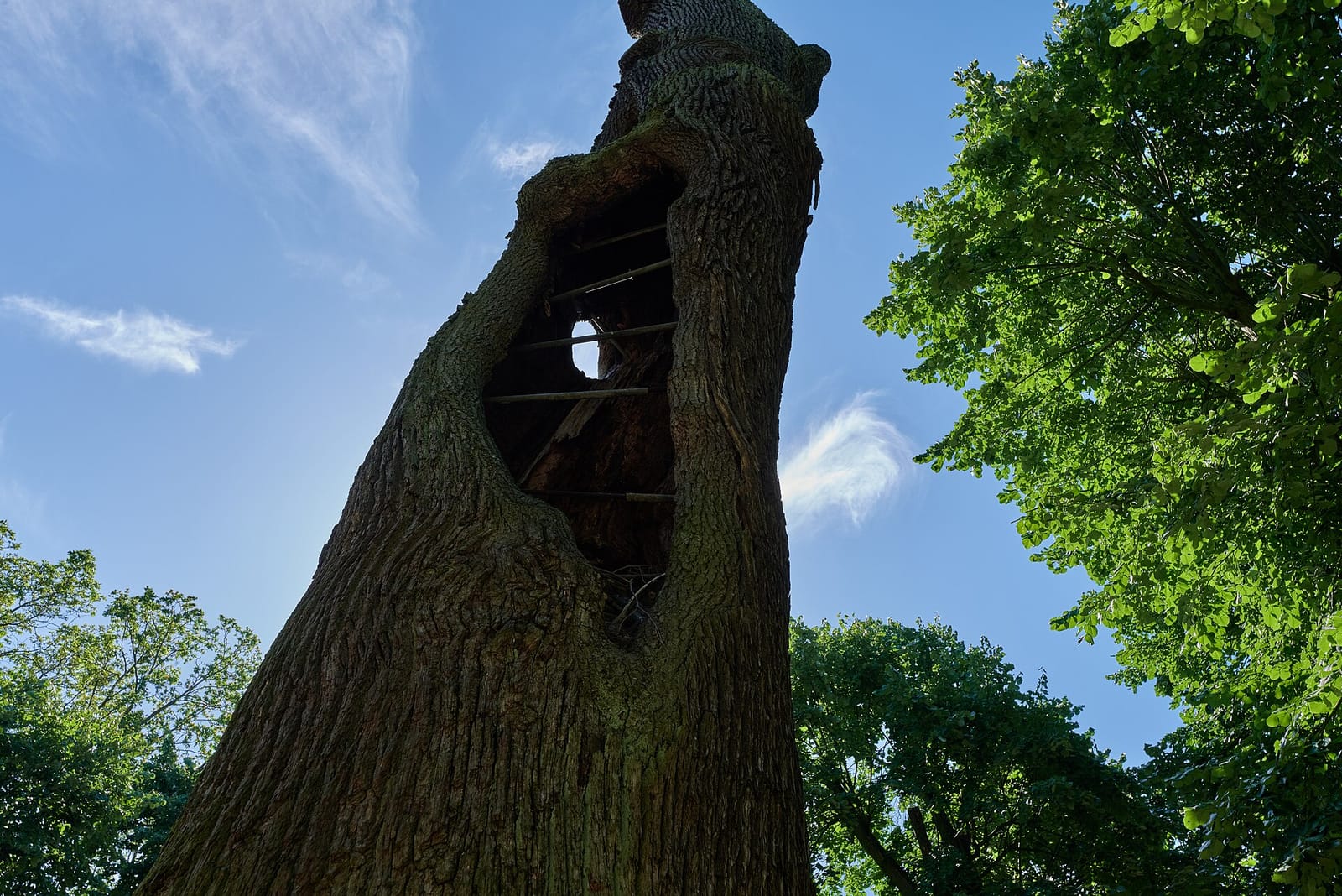 Sommergarten photo 2