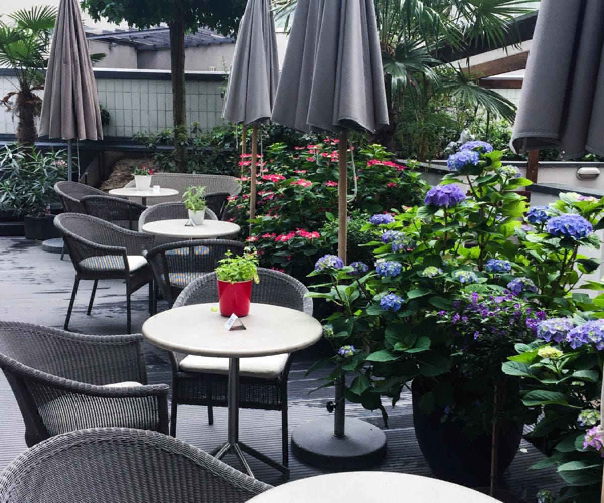 Kaffeehaus Mila photo 6