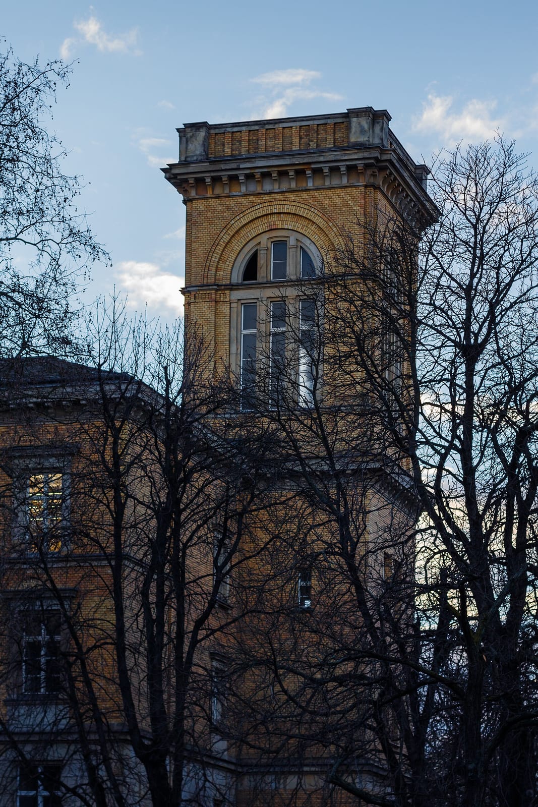 Café Piter photo 2