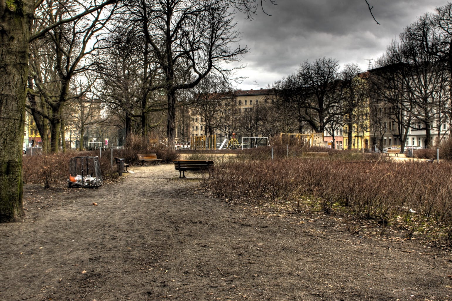 Zazza photo 4