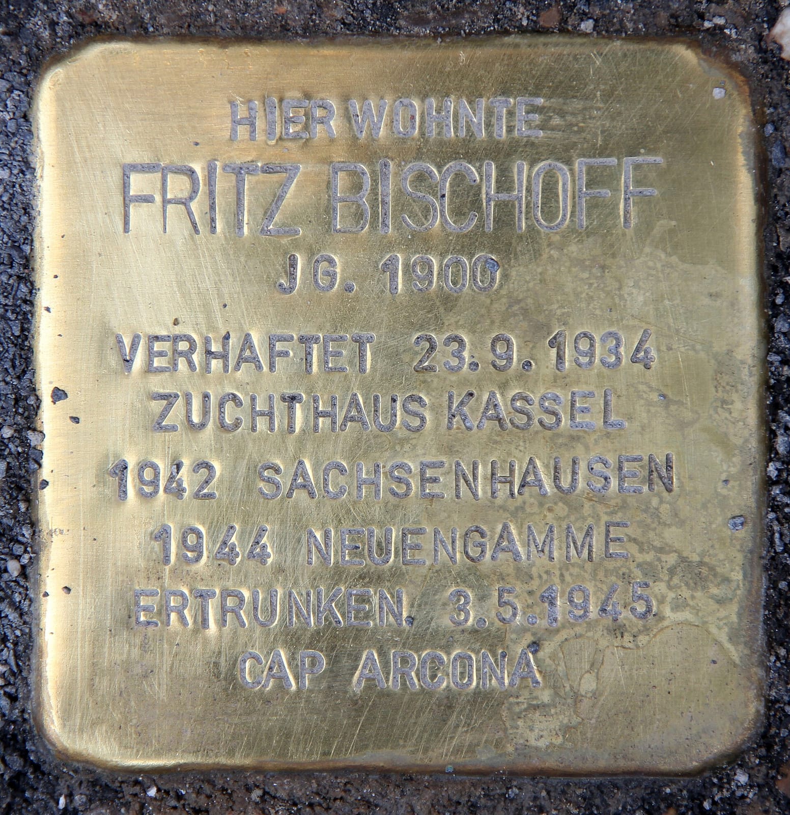 Café Pilz photo 2