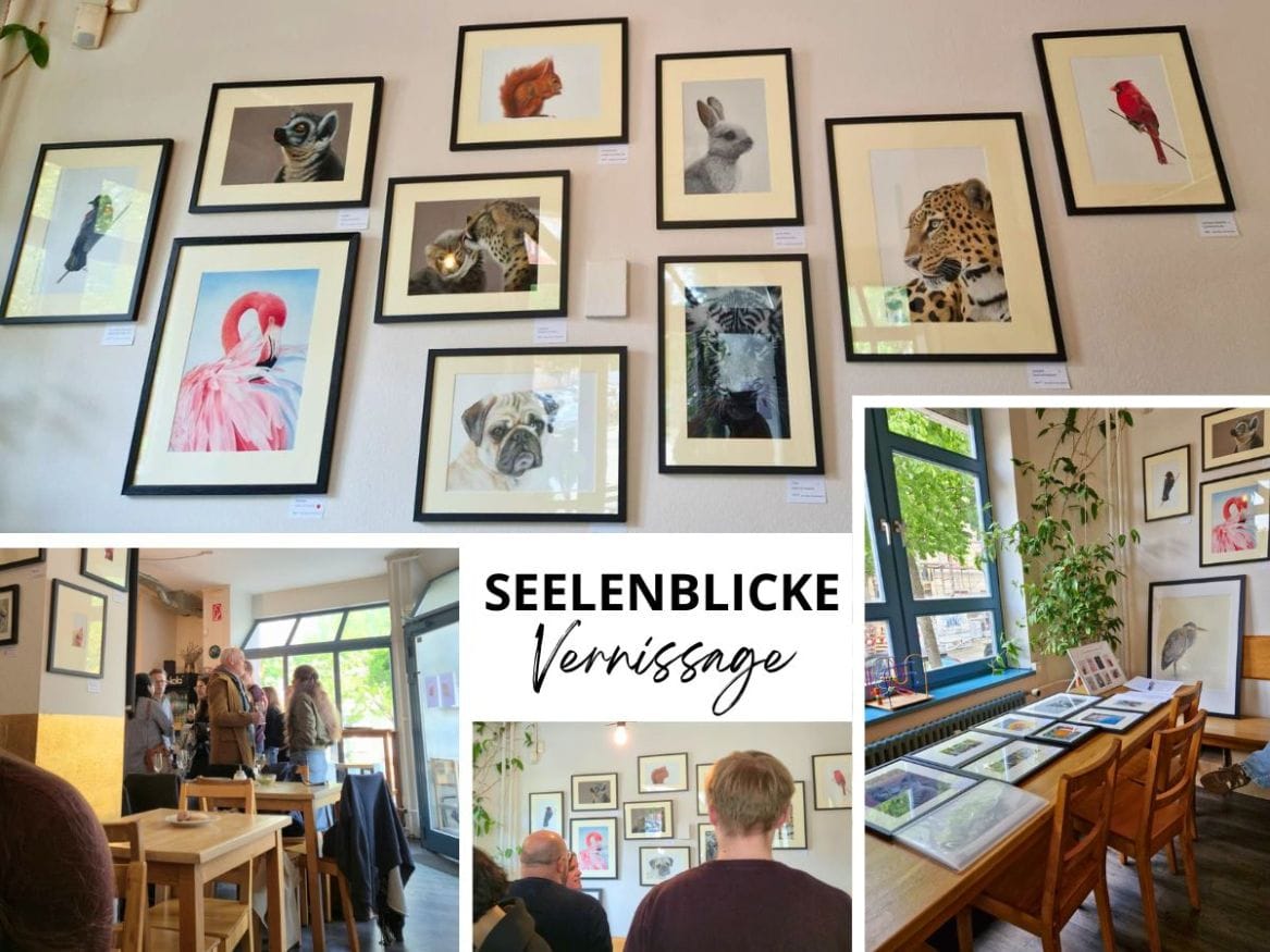 café und bistro freysinn photo 3