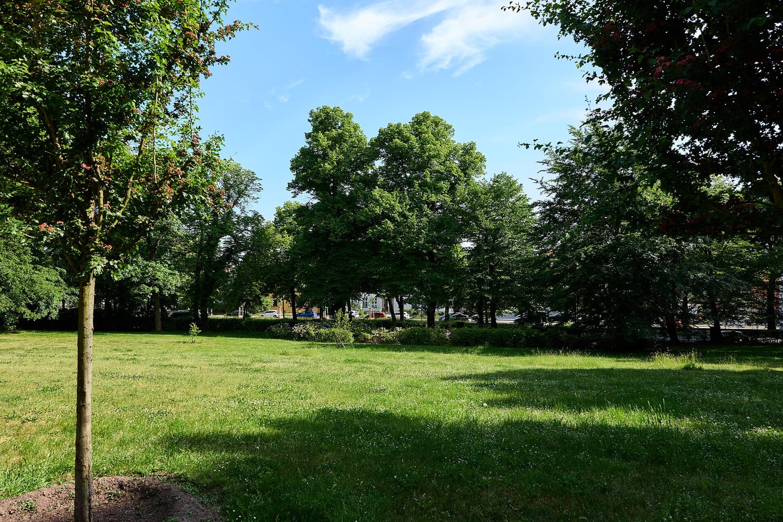 Cafe Schloss Biesdorf photo 3