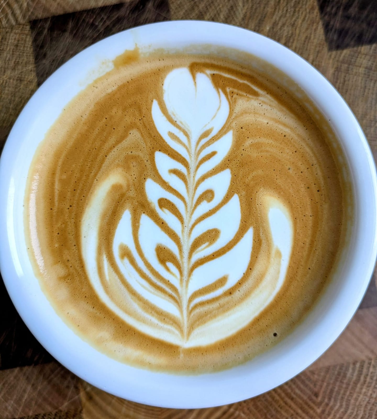 wild caffè photo 3
