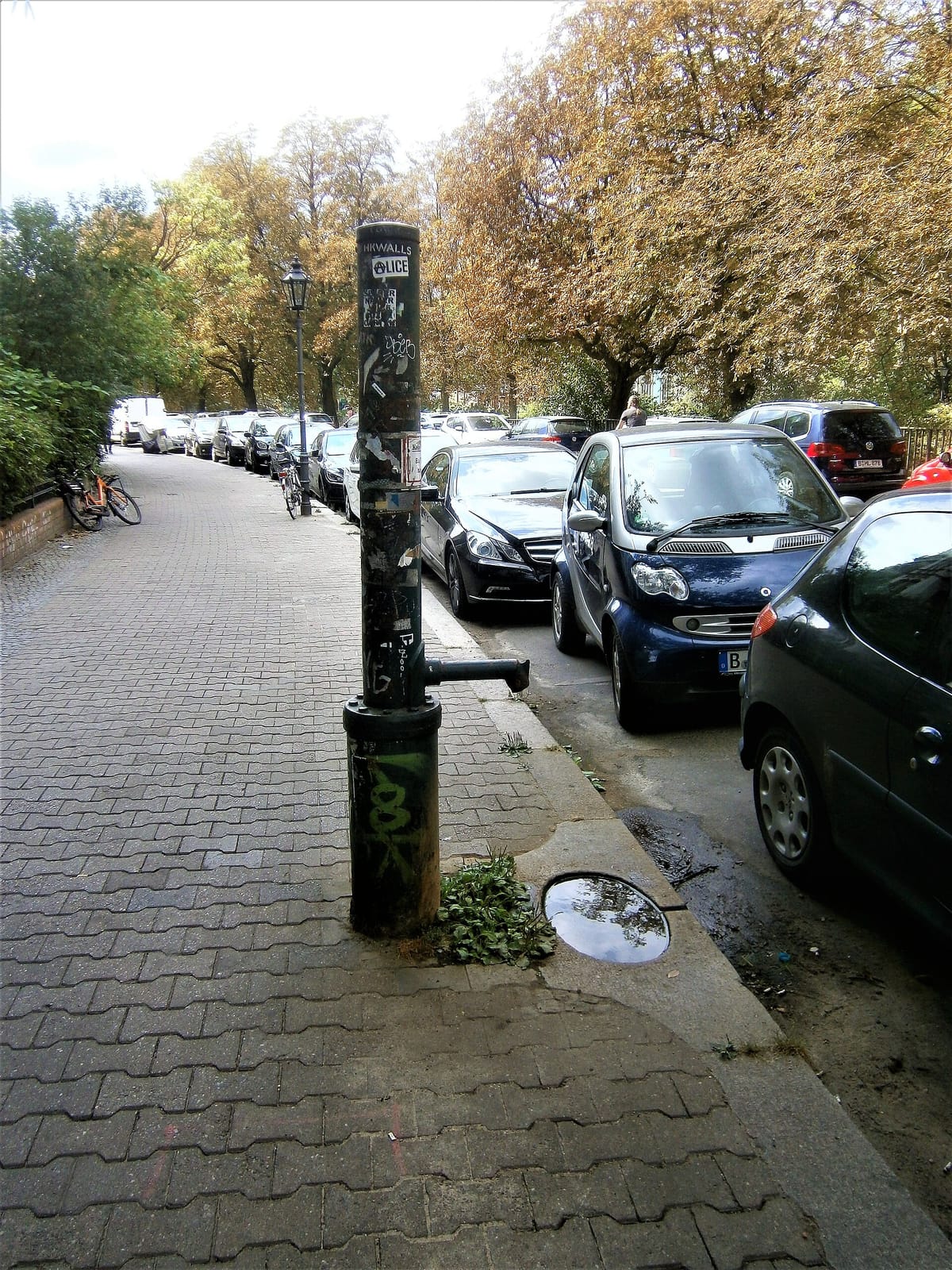 Mugrabi photo 3