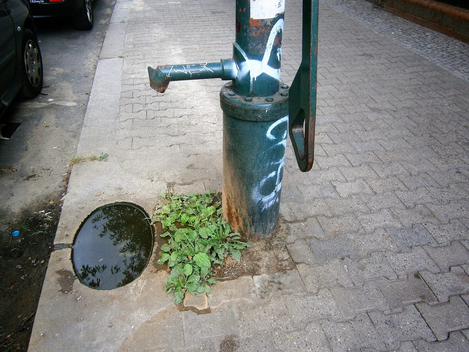 Mugrabi photo 5