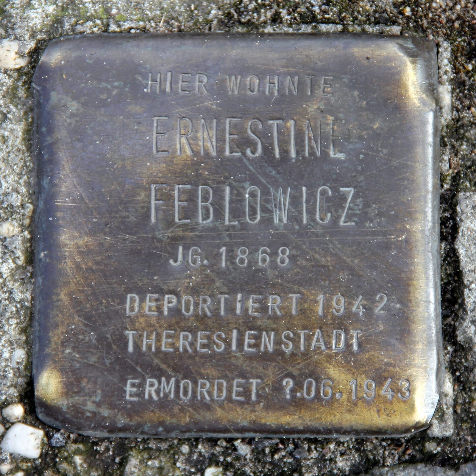 19grams Schlesi photo 4