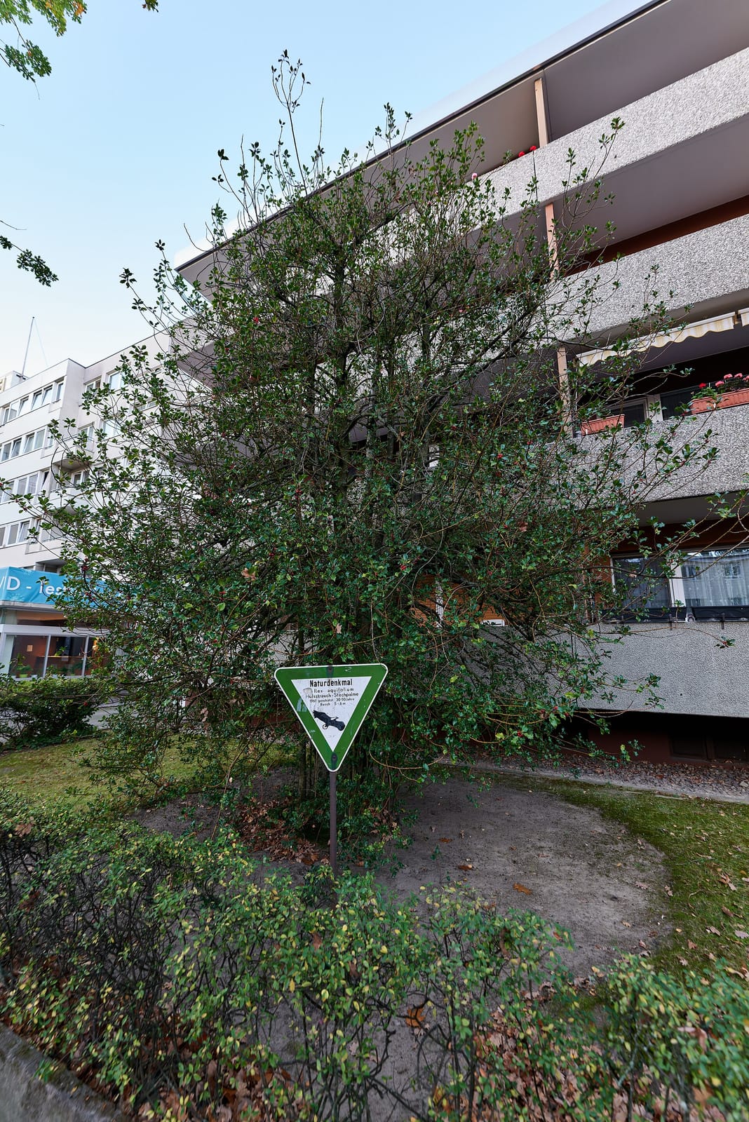 Venue photo 5