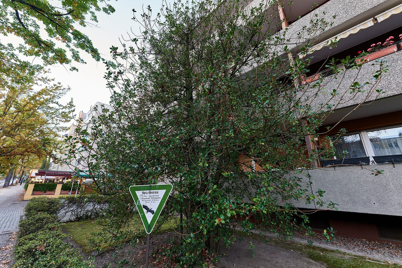 Venue photo 2