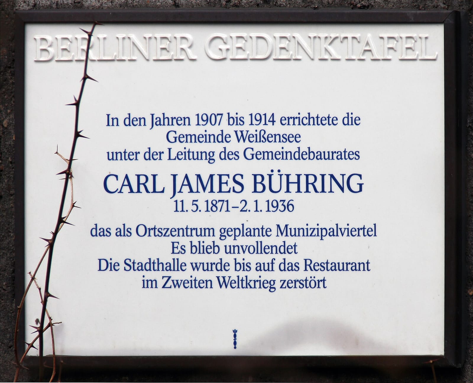Natas Berlin photo 4