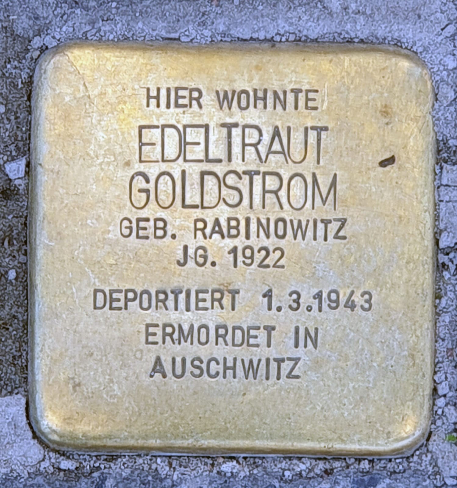 Smoozery Berlin photo 4