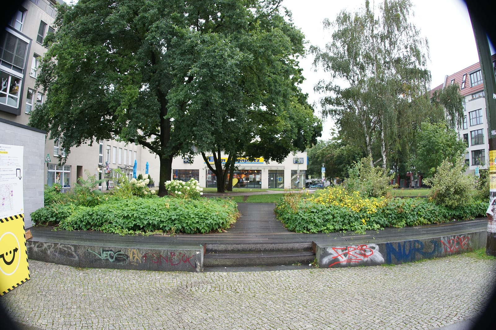 Café am Antonplatz photo 4