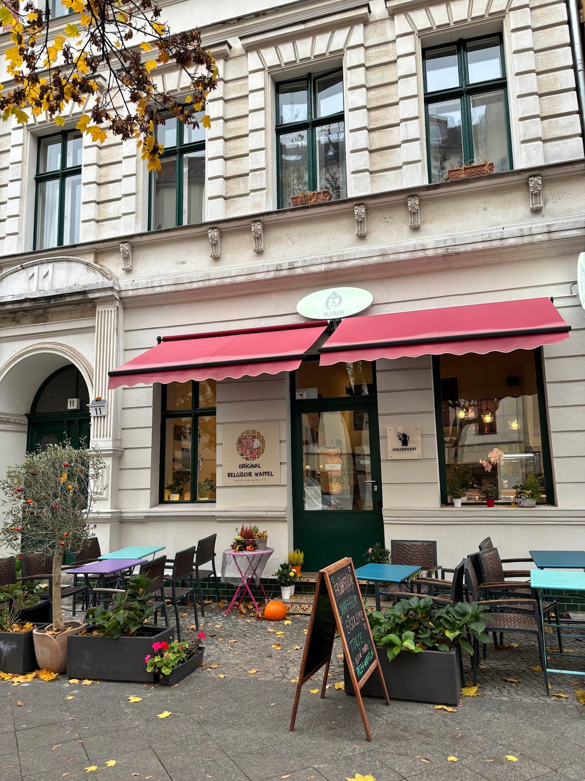 Mav Blueberry Cafe