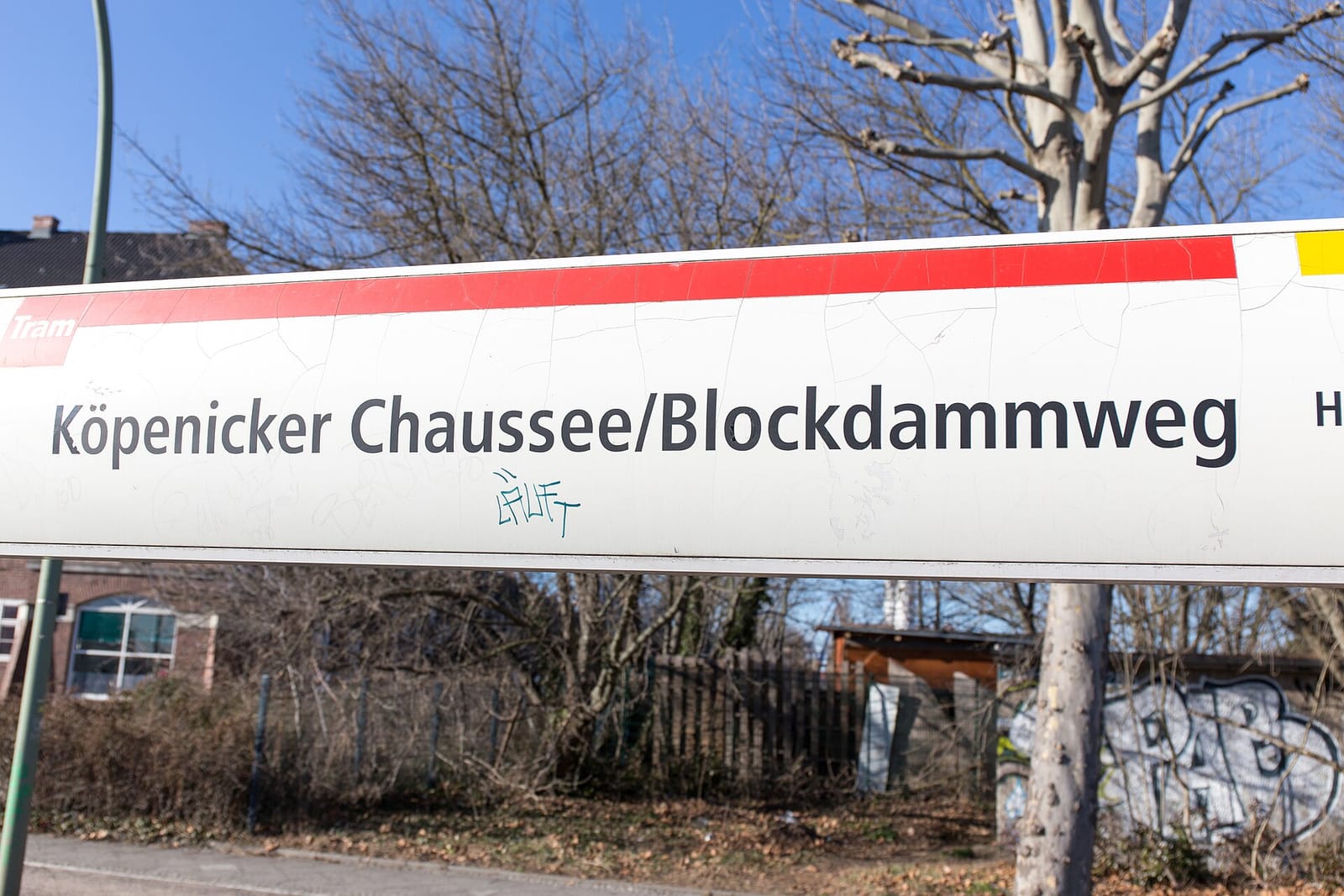 Muschkebart photo 2