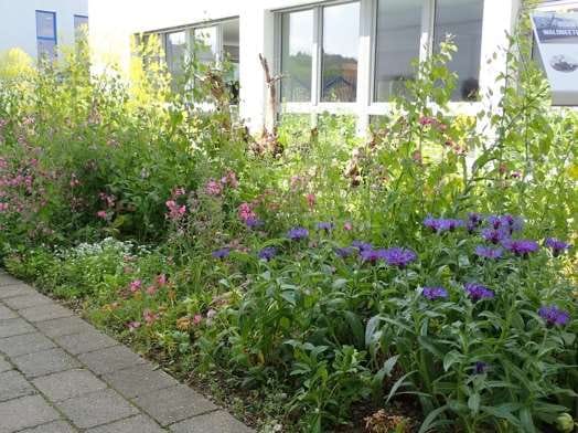 Naturgarten-Café photo 7